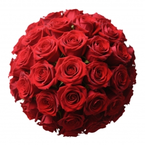 Red Passion