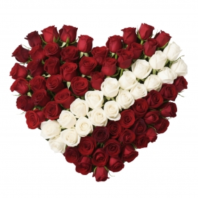 Heart of Roses
