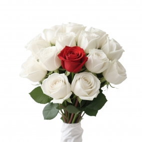 19 roses